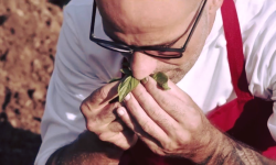 “VIRTÙ ESTIVE”, LE GREEN STAR MICHELIN PROTAGONISTE A TERAMO: SI PARTE CON MARCO RISPO, POI ANTONELLO SARDI E ALTRI