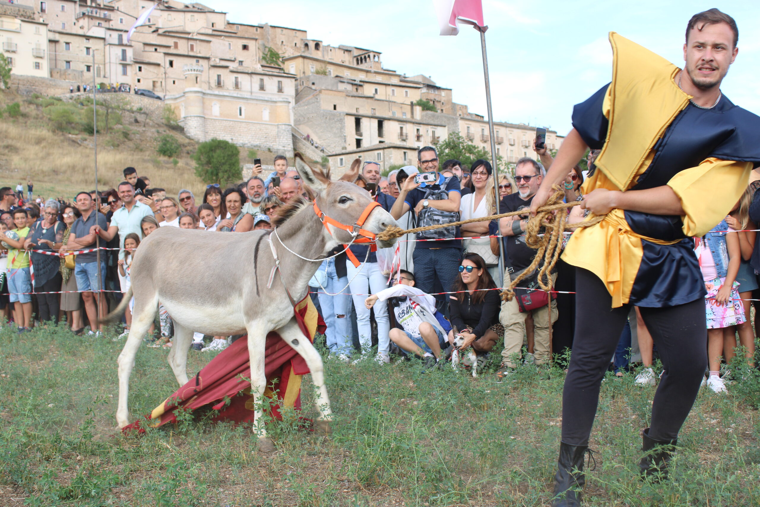 Nel fine settimana a Navelli la Sagra dei ceci e dello zafferano e il Palio degli asini