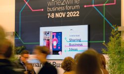 VINO, INDAGINE UIV/VINITALY: CROLLANO I FATTURATI, PESANO COSTI E RECESSIONE