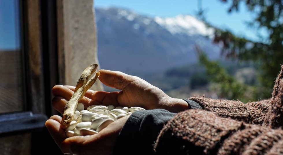 FAGIOLI DELLE TERRE CAMPOGIOVESI E COMUNITA' AGRICOLE EROICHE MODELLO DI FUTURO POSSIBILE, SULLA MAIELLA E NON SOLO