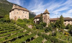 40 ANNI PER LO SCHULTHAUSER DI SAN MICHELE APPIANO, IL PINOT BIANCO ALTOATESINO