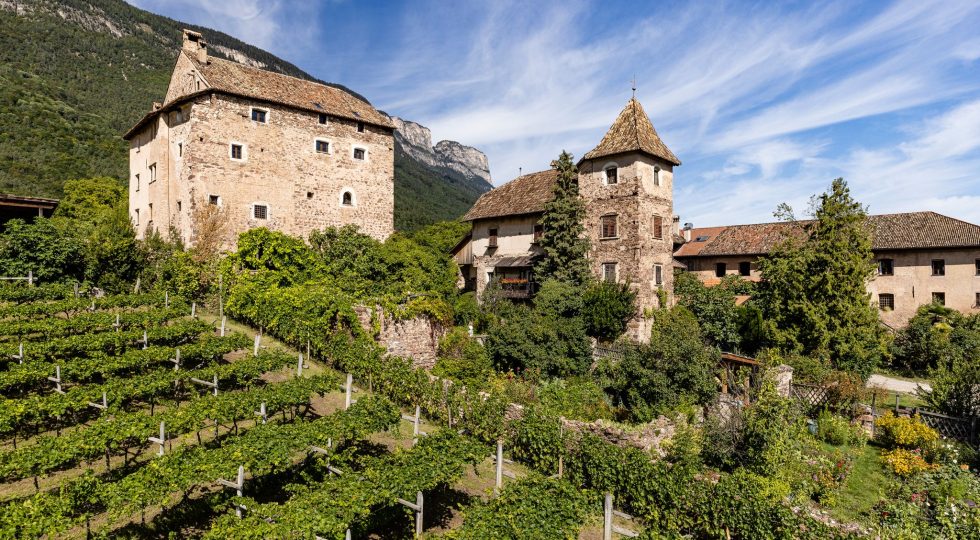 40 ANNI PER LO SCHULTHAUSER DI SAN MICHELE APPIANO, IL PINOT BIANCO ALTOATESINO