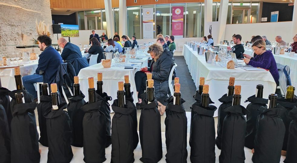 COLLINE TERAMANE DOCG TRA BIOLOGICO E LOTTA INTEGRATA, I NOSTRI ASSAGGI ALL’ANTEPRIMA