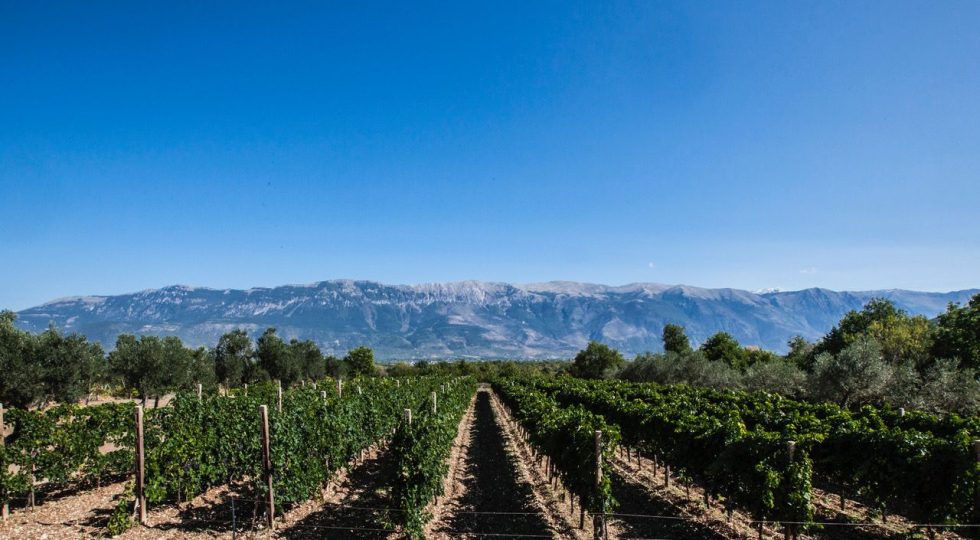 ENOTURISMO, IN ABRUZZO “FAI PERCORSI SLOW” PER SCOPRIRE I LUOGHI ATTRAVERSO I VINI