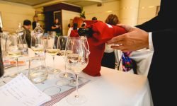 Campania Wine, a Napoli un evento unico in Galleria Umberto I