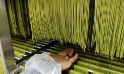 Vittoria del Made in Italy, gli Usa riducono i dazi sulla pasta
