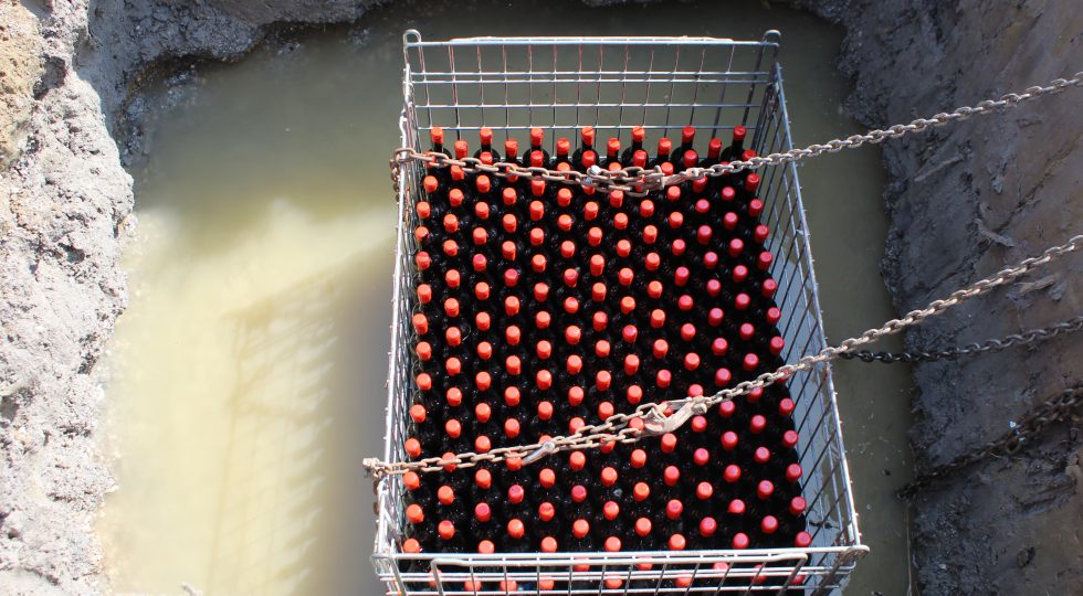 “Vinum Terrae”, in Friuli per la prima volta il Refosco affinato in una fossa naturale