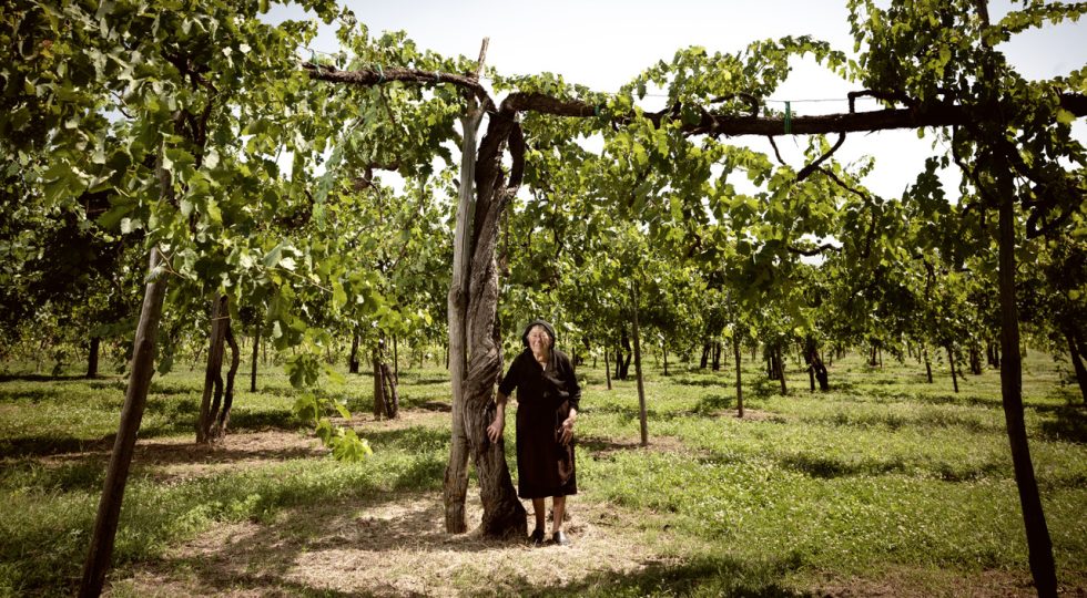 “VINI D’ABBAZIA”, A PRIVERNO TORNA L’EVENTO CHE RACCONTA LE STORIE VITIVINICOLE DELLE ABBAZIE