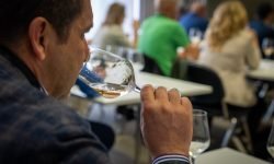 Aromatici, rosè, autoctoni e tanto altro nelle 8 masterclass di Spumantitalia il 4 e 5 giugno a Milano