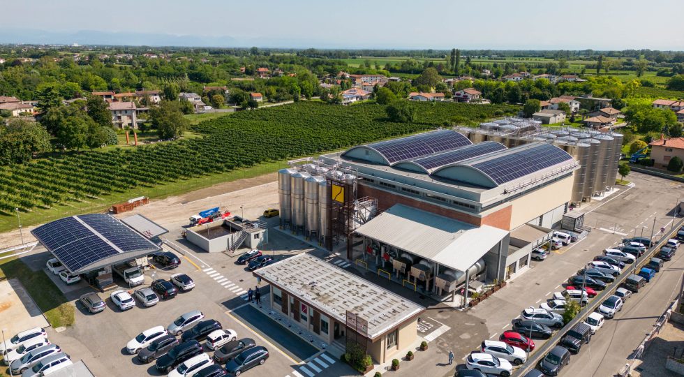 Cantina produttori Ramuscello: tre medaglie d’oro al Concorso delle Città del Vino