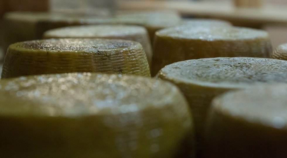 Viaggio tra i sapori autentici e le tradizioni enogastronomiche abruzzesi