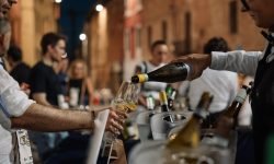 Cambia la denominazione del Verdicchio di Matelica che antepone il luogo al vitigno