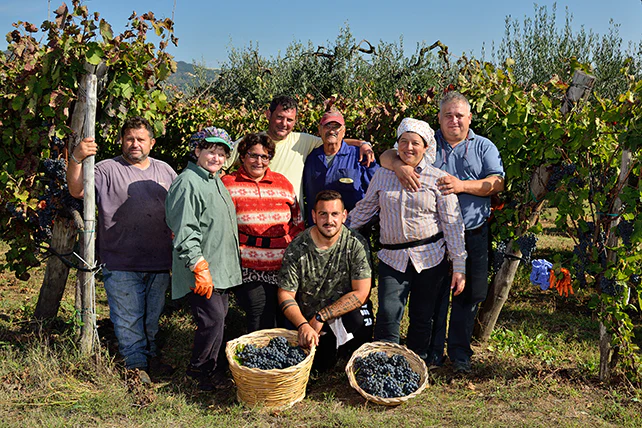 Alla Falanghina Dop de “Il Poggio” la Corona dei Vini Buoni d’Italia