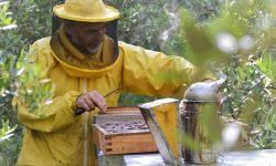 Al Centro Natura di Pescasseroli a lezione di apicoltura sostenibile