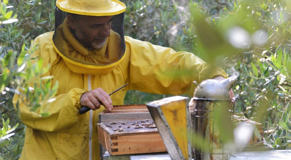 Al Centro Natura di Pescasseroli a lezione di apicoltura sostenibile