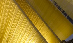La filiera della pasta si dà appuntamento a Parma per "Pastaria Festival"
