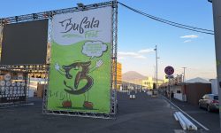 Bufala Fest, a Napoli cinque giorni sulla promozione e valorizzazione della filiera bufalina