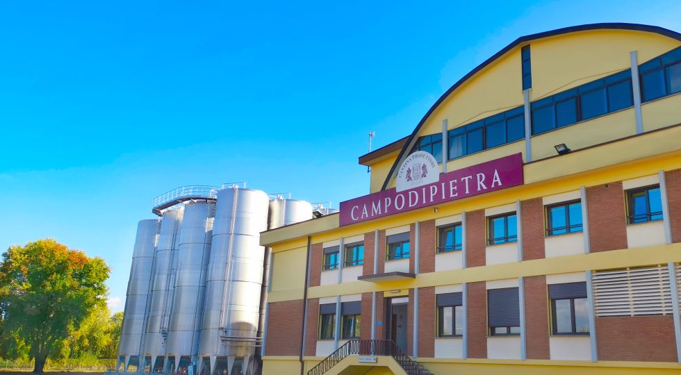 Il gruppo Vi.V.O. Cantine terzo tra le aziende coi maggiori incrementi di fatturato nel 2022