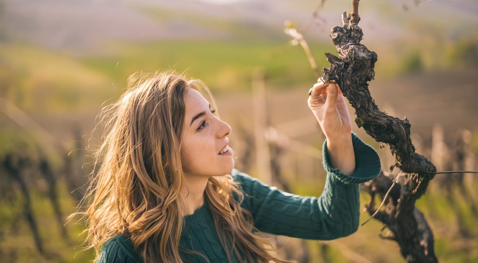 Dall’Abruzzo al Rodano, a Chiara Pepe la guida enologica di Domaine de la Chapelle Hermitage