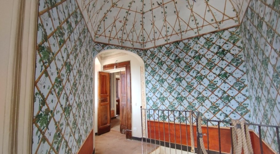 Raccolta dello zafferano e visite al palazzo D’Alessandro a Caporciano