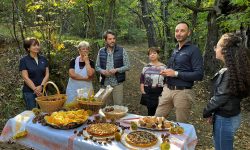 Sagra della castagna: a San Felice d’Ocre si ripete il rito tra dolci fatti in casa, passeggiate nel bosco ed escursioni