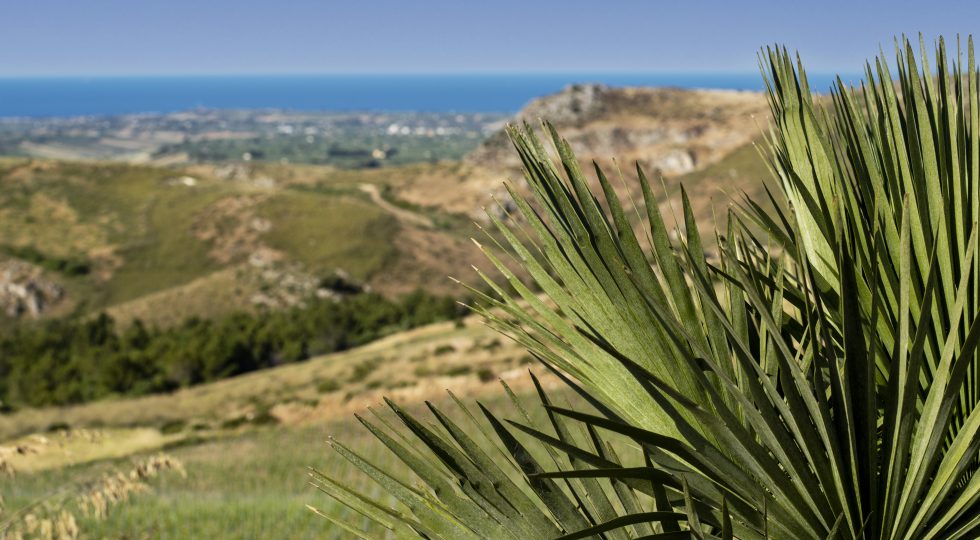 Olio e vino, in Spagna l’Irvo lancia gli itinerari della Sicilia