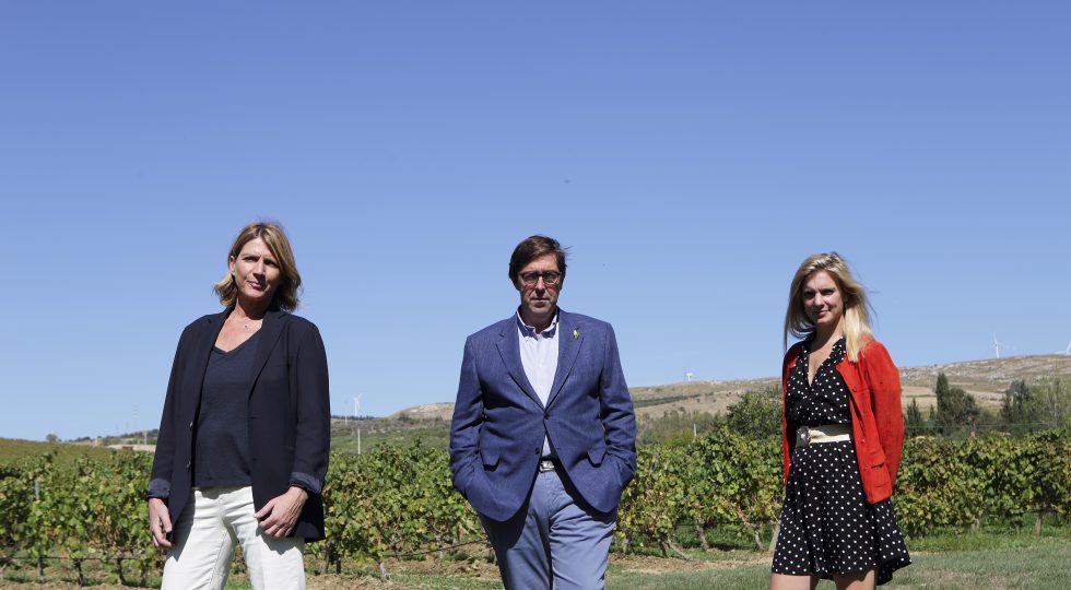 Serra Ferdinandea, una vendemmia 2023 perfetta grazie a una rigorosa gestione biodinamica
