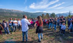 La vendemmia si fa festa da Cataldi Madonna nonostante l’anno funesto per la peronospora
