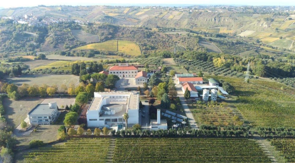 Rischio accorpamento per l’Istituto agrario di Scerni, la Cia chiede che resti autonomo