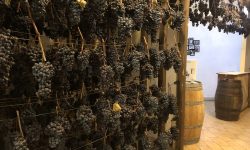 “Appassimenti Aperti”, a Serrapetrona per scoprire la Vernaccia tra piazza e cantine