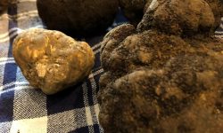 Abruzzo tra i maggiori produttori di tartufo, nel fine settimana la Fiera che celebra il prezioso tubero