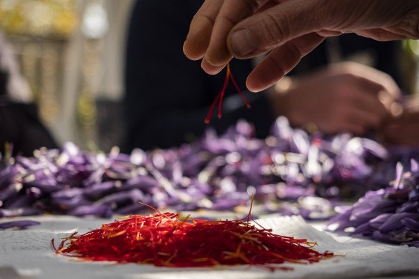 L’Aquila tra cultura e prodotti tipici, l’11 e il 12 novembre due eventi con uno chef