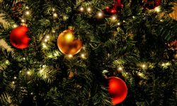 “Giornate al borgo”, a Penna Sant’Andrea tanti eventi per tutte le età fino al 6 gennaio