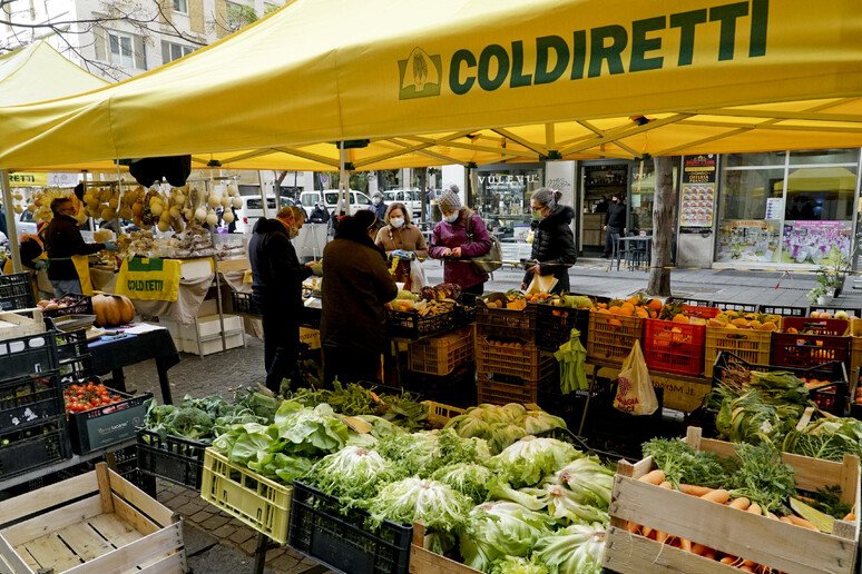 “Mercato in Piazza” di Coldiretti Teramo con le specialità fresche ogni settimana nel piazzale San Francesco