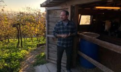 Viaggio tra i produttori del Prosecco sui lieviti: gratitudine, rispetto e orgoglio
