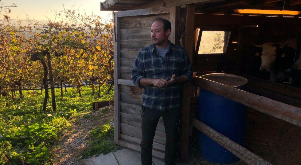 Viaggio tra i produttori del Prosecco sui lieviti: gratitudine, rispetto e orgoglio