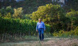 Sostenibilità, alla cantina San Salvatore 19.88 il “Robert Parker Green Emblem”