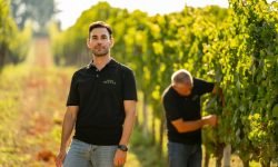 Il Montepulciano d’Abruzzo riserva tra gli obiettivi per il 2024 dell’azienda Olivia