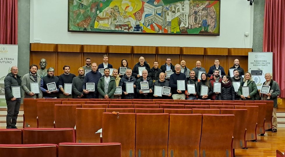 Vini da uve Piwi, la Fondazione Mach premia i migliori esempi mentre la black rot preoccupa