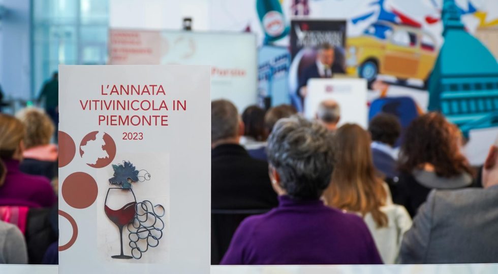 In Piemonte meno vino nel 2023 ma l’export va meglio della media italiana (grazie allo spumante)