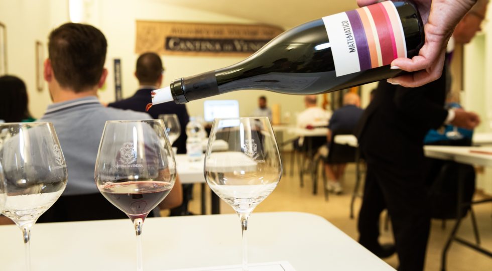 Cresce Cantina di Venosa: nel 2023 fatturato + 17%, bottiglie vendute + 11%