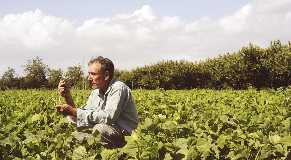 Dalla terra alla salute: all’Aquila un confronto sul futuro delle produzioni agroalimentari