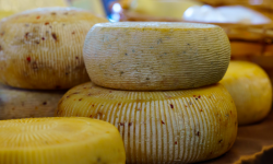 “Formaticum”, a Roma degustazioni, seminari e riconoscimenti di qualità