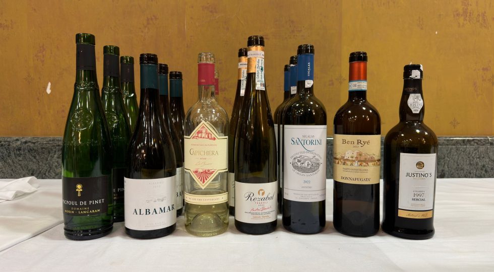 Vino, un viaggio attraverso le regioni influenzate dal mare con l’enologo Brighigna