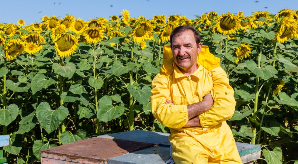 Apicoltura Luca Finocchio vince il Mondiale del miele