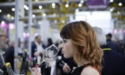 L’Abruzzo protagonista a Slow Wine Fair 2024