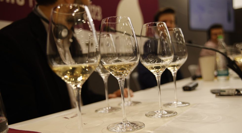 Slow Wine Fair 2024: dove la viticoltura è buon esempio per una nuova agricoltura