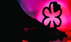 La Guida Michelin introduce una nuova distinzione nel mondo del vino: il Grappolo