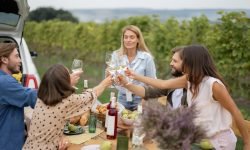 Vigneti Aperti dà il via alla bella stagione nelle cantine del Movimento Turismo del Vino