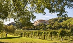 Giornate Fai di Primavera, nel fine settimana visite in 750 luoghi speciali in 400 città
